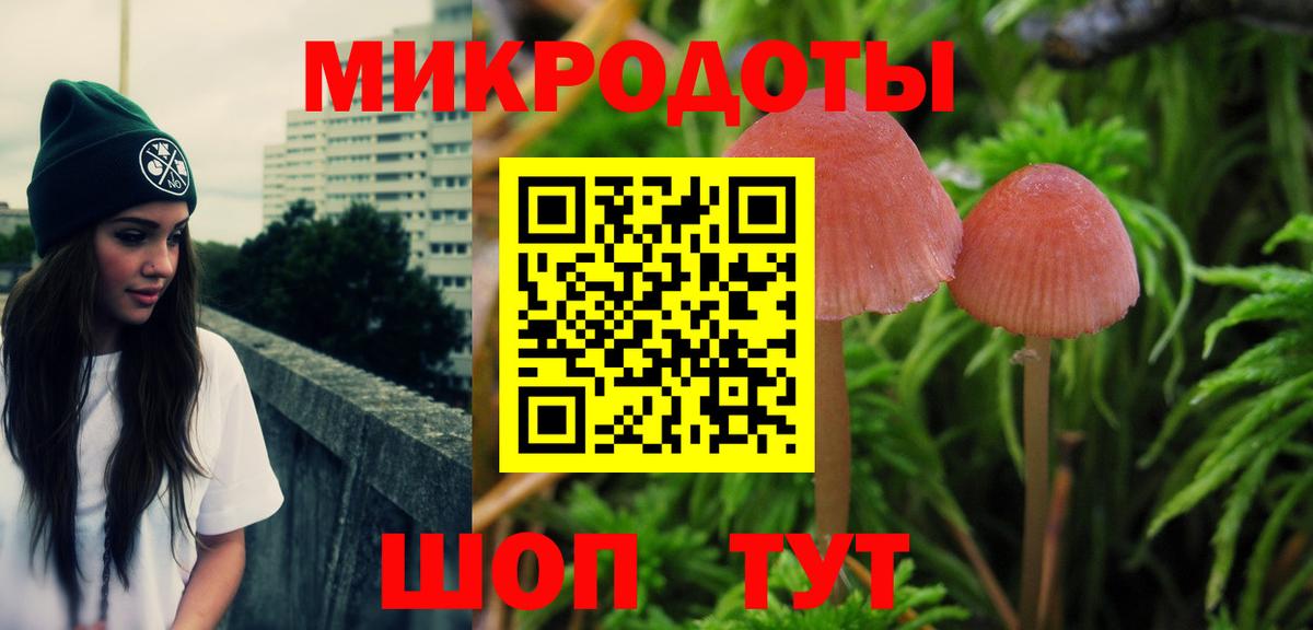 Галлюциногенные грибы Psilocybe Борзя