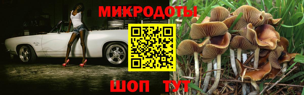 Борзя  Галлюциногенные грибы Cubensis  продажа наркотиков  Вход с VPN  Псилоцибиновые грибы Cubensis 